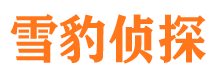 嘉禾外遇调查取证